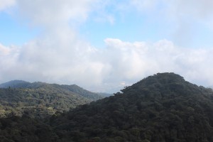 Cameron Highlands-037